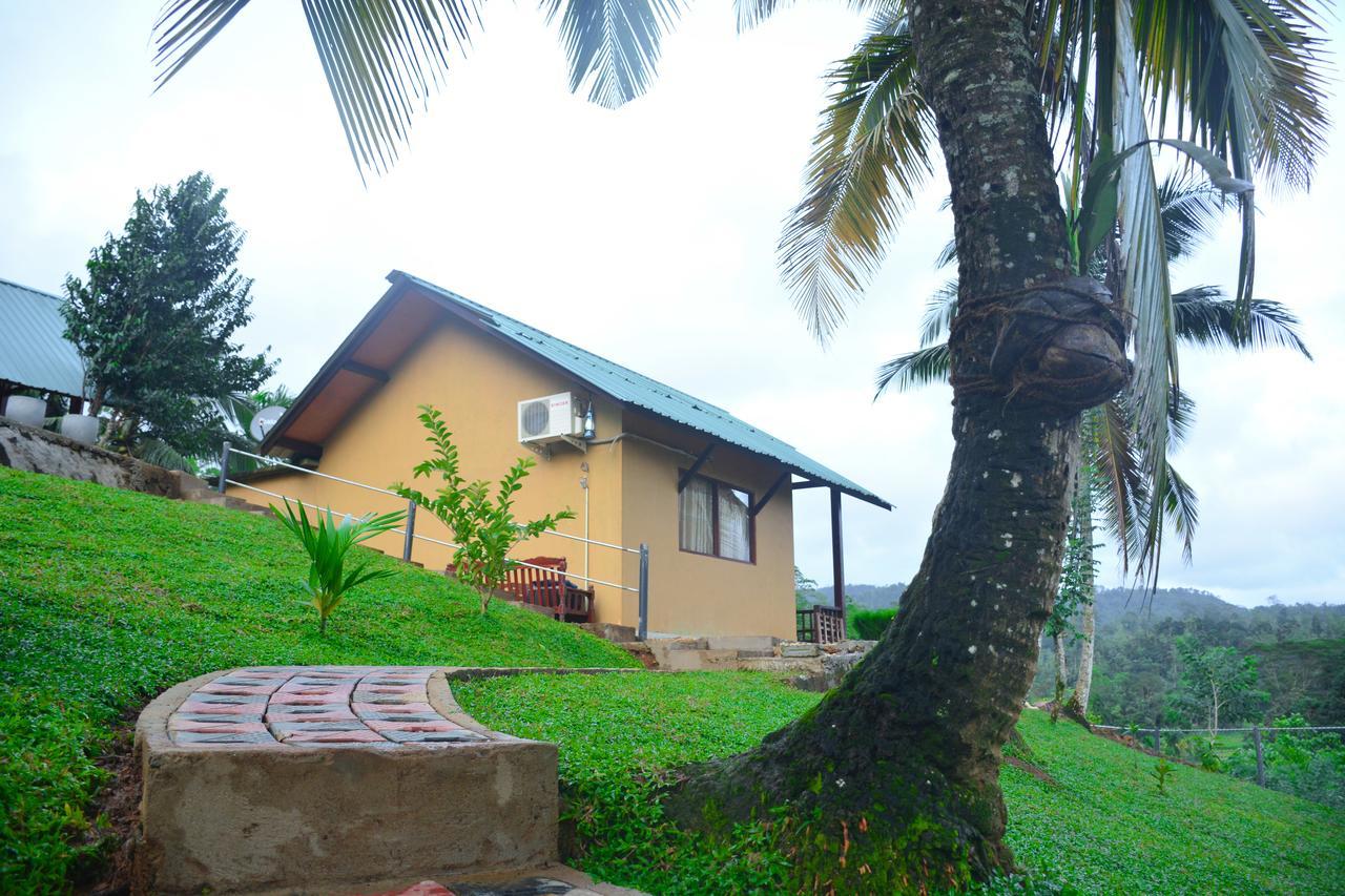 דניאיאה Rainforest Mount Lodge מראה חיצוני תמונה